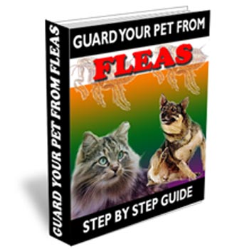 Safeguard your pet against fleas